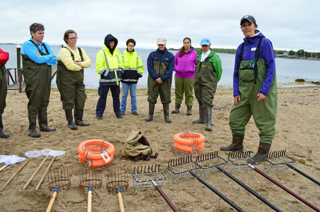 How to dig for quahogs in Buzzards Bay - Buzzards Bay Coalition