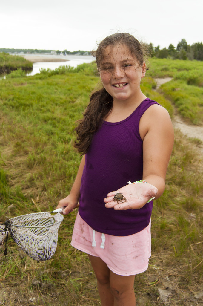 How to catch blue crabs in Buzzards Bay with your kids - Buzzards Bay ...