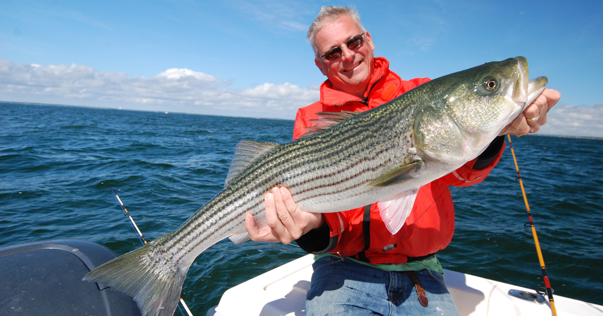 Spring Time striped bass fishing is awesome! This is what happens