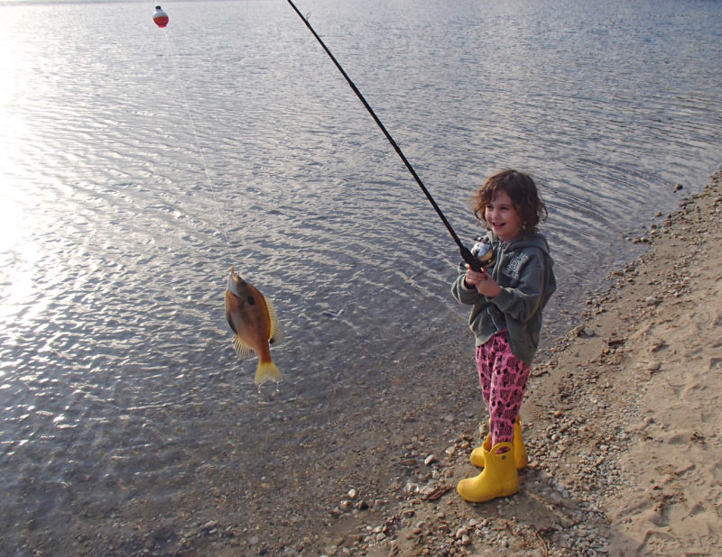How to take your kids freshwater fishing around Buzzards Bay - Buzzards Bay  Coalition
