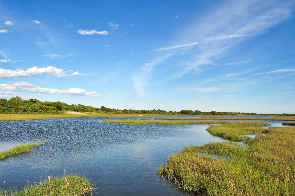 41 places you can explore a salt marsh – and some wildlife you might ...