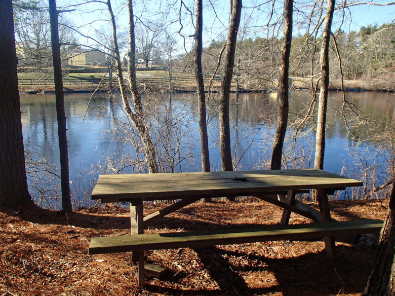 picnic table next to Leonard's Pond in Rochester