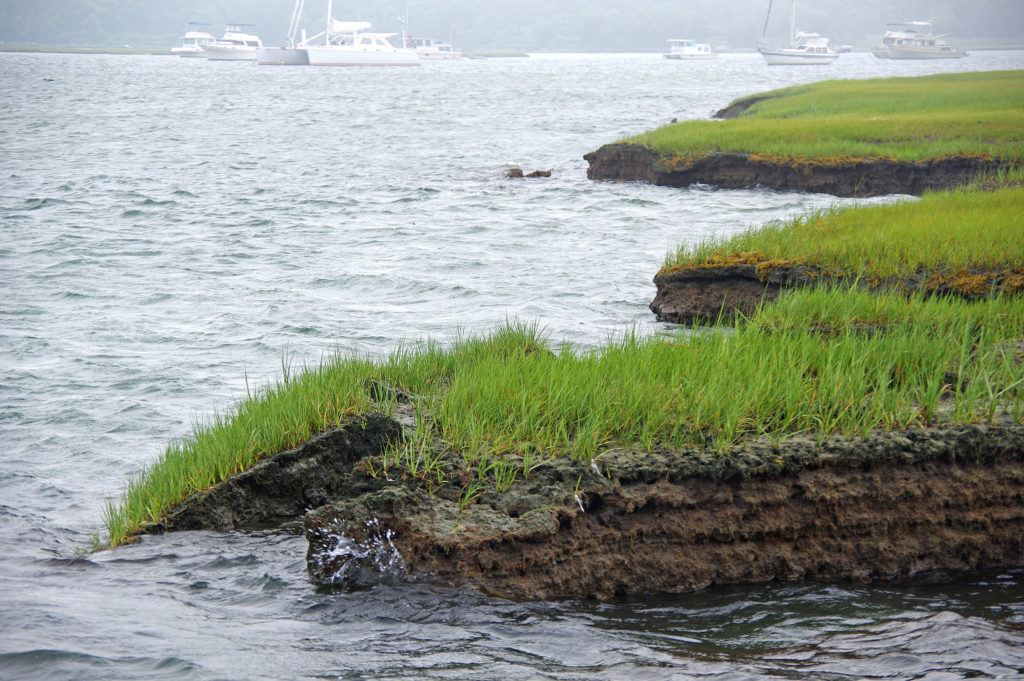 Frontiers  Runnels mitigate marsh drowning in microtidal salt marshes