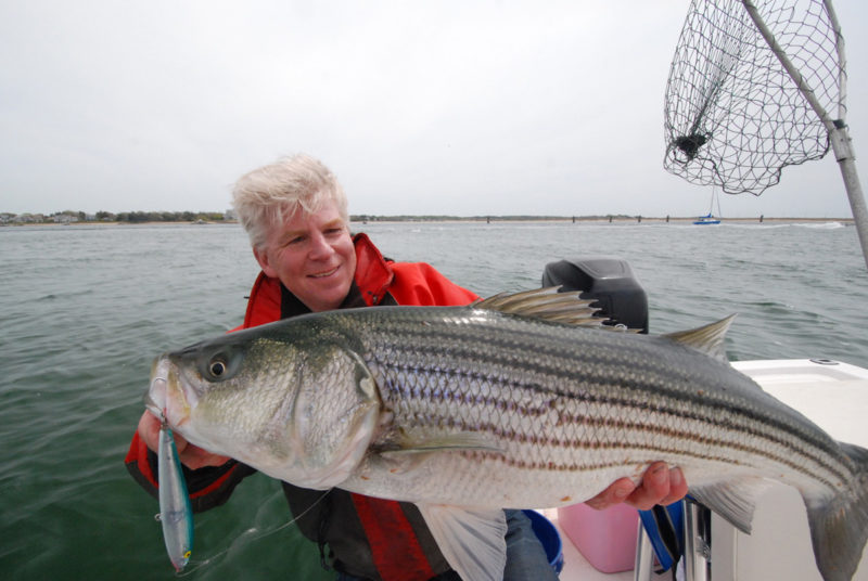 How To Catch Striped Bass In Rivers (Best Lures, Spots, Seasons
