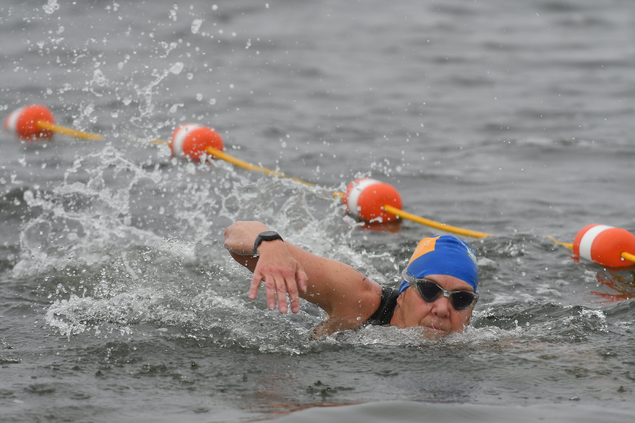 Fifty swimmers dove into New Bedford Harbor and raised more than