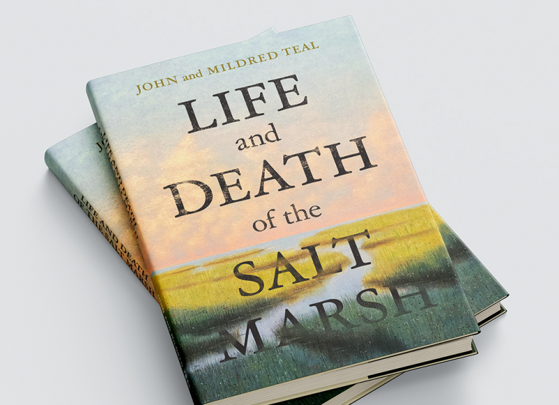 image of the Life and Death of the Salt Marsh