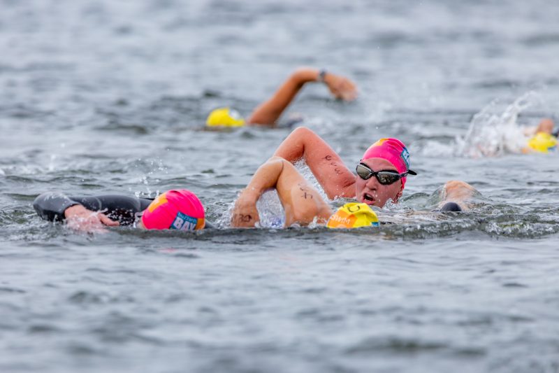 Participants in the Buzzards Bay Swim