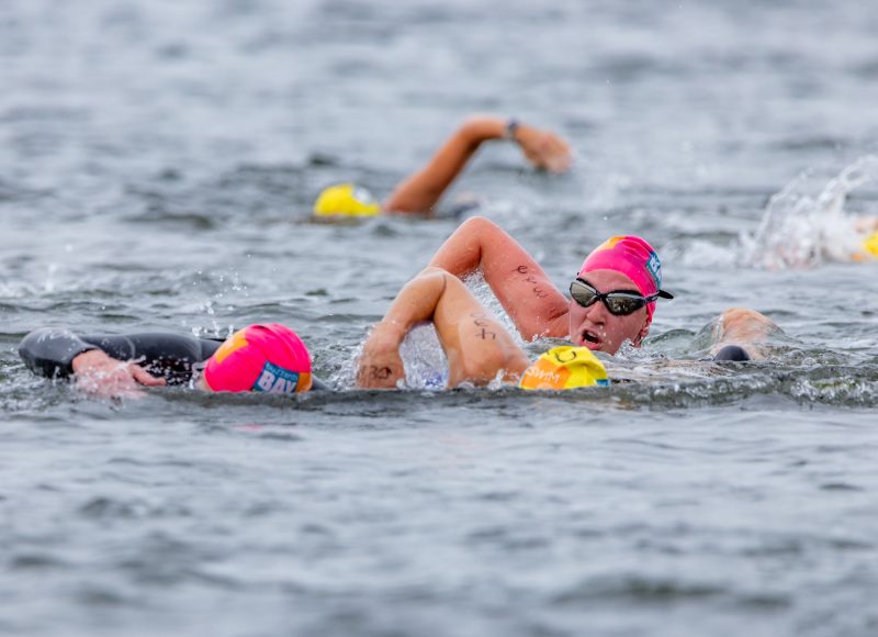 Participants in the Buzzards Bay Swim